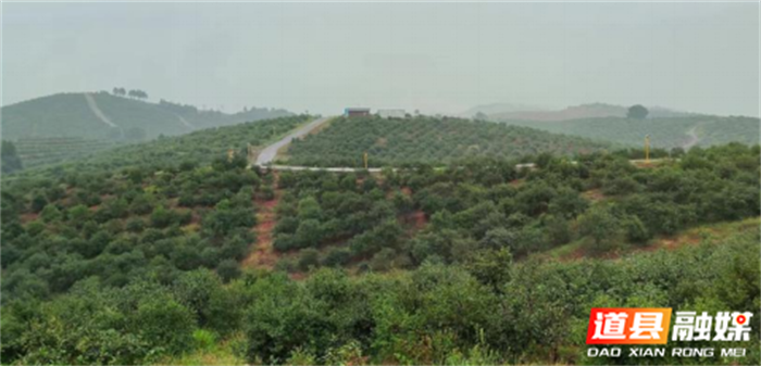 图片2_副本1.png 图片2_副本1.png