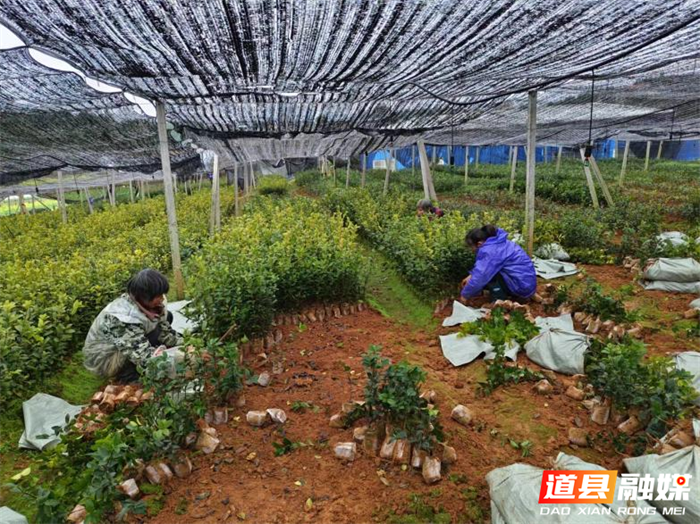 图片2_副本.png 图片2_副本.png