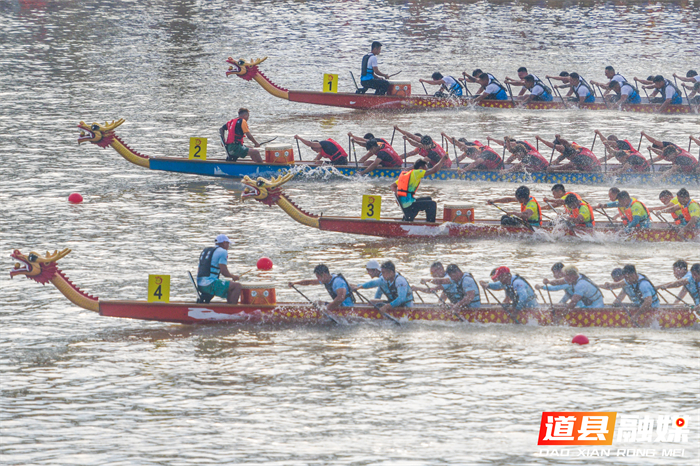 _DSC4742 拷贝_20260612101455.jpg _DSC4742 拷贝_20260612101455.jpg