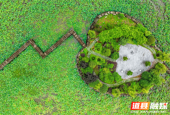 DJI_20260614084004_0006_D 拷贝_20260615104942_副本.jpg DJI_20260614084004_0006_D 拷贝_20260615104942_副本.jpg