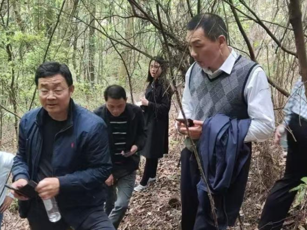 道县多举措提升生物多样性丰富度