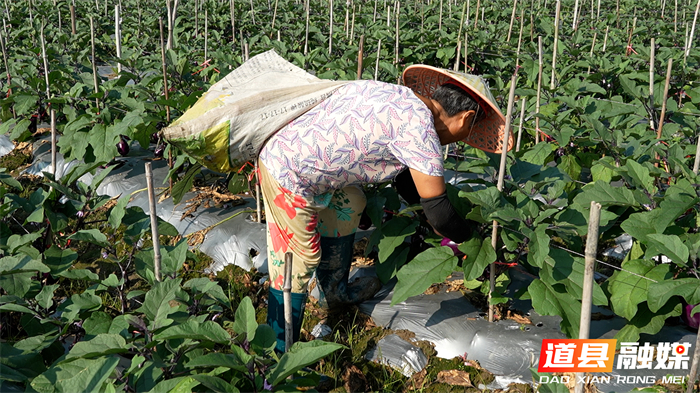 微信图片_2026-06-02_103928_606_副本1.jpg 微信图片_2026-06-02_103928_606_副本1.jpg