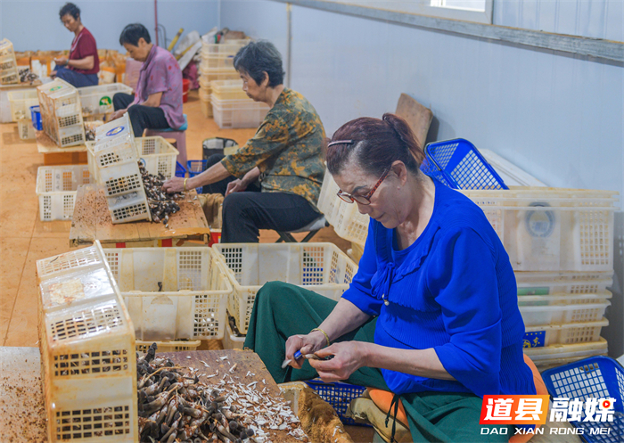 微信图片_20260622151648_152_22.jpg 微信图片_20260622151648_152_22.jpg