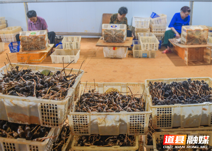 微信图片_20260622151651_155_22.jpg 微信图片_20260622151651_155_22.jpg