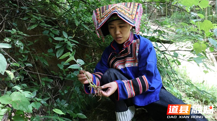 图片2_副本1.png 图片2_副本1.png
