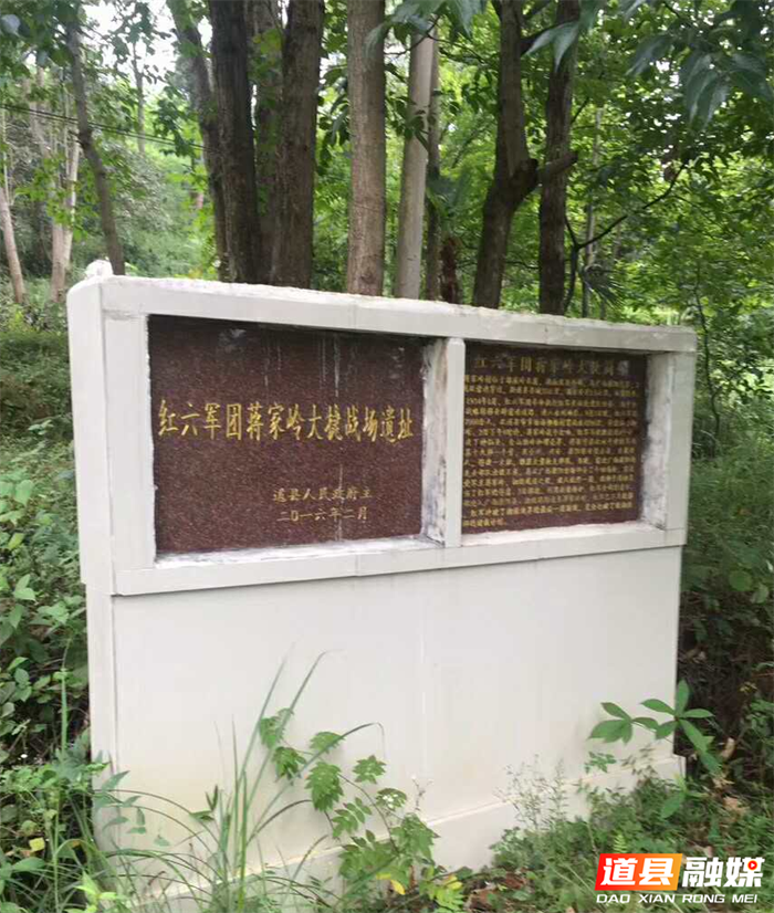 图片1_副本.png