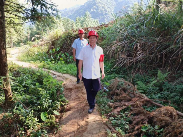 道县多点发力协同共治 筑牢夏季森林“防火墙”