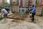 道县城管局多部门联合开展小区公共区域清整行动 还居民整洁公共空间