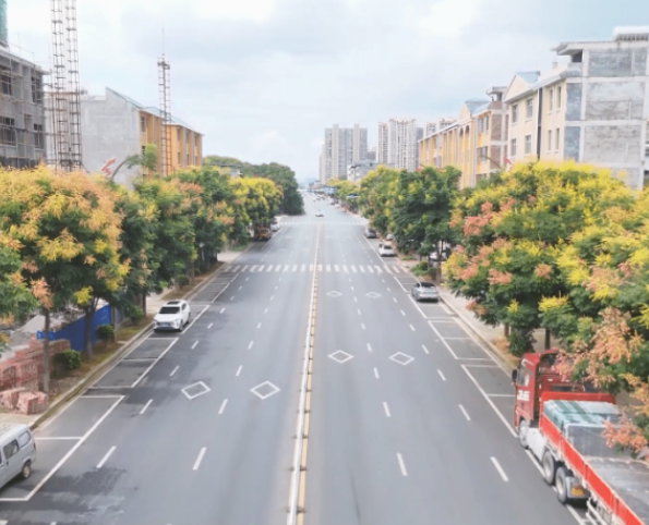 视频|道县：秋日栾树绽芳华 花果同树扮靓街巷