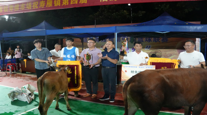 乡土赛场燃激情 寿雁镇第四届“谷源杯”篮球联赛圆满落幕