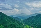 道县：多举措提质天然林生态功能