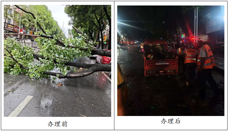 微信图片_20260901172750_5_28.png
