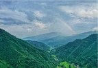 道县:夯实生态基础 建设秀美林场