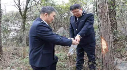 道县加强植物检疫保护森林安全