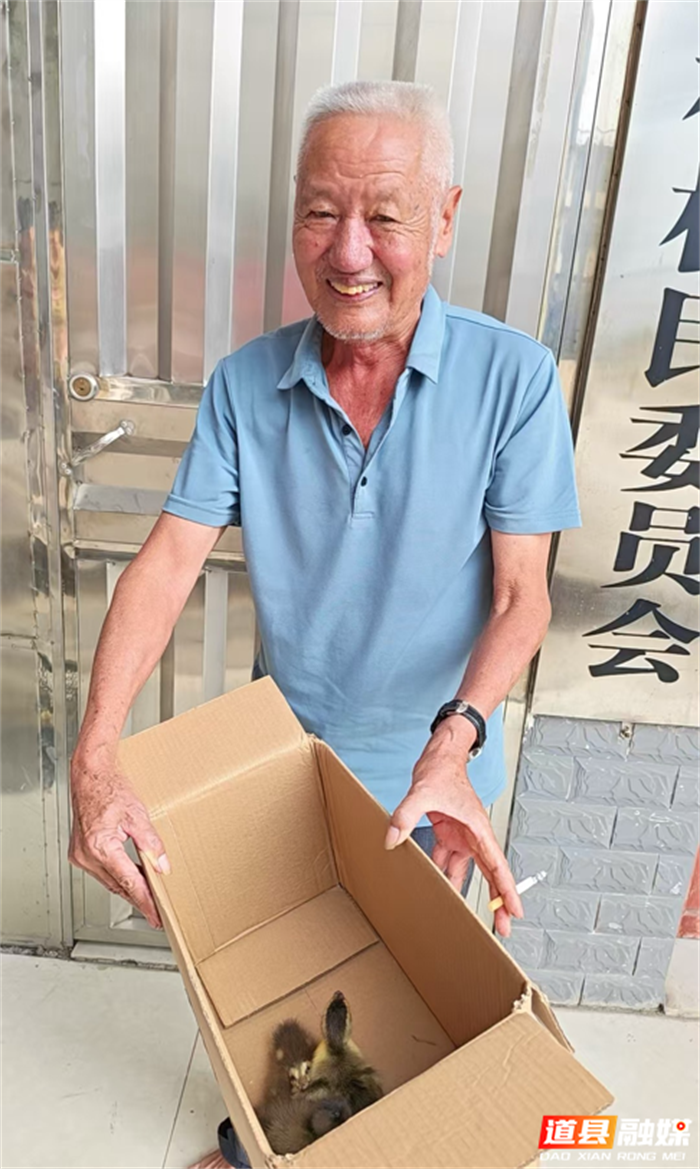 图片2_副本.png 图片2_副本.png