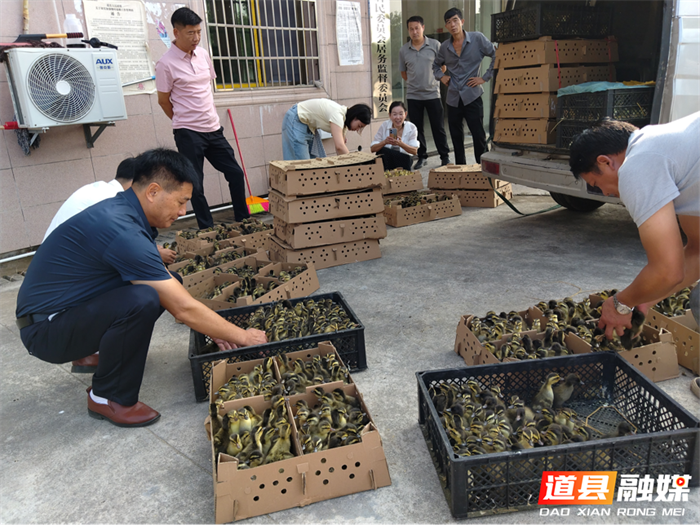 图片1_副本.png 图片1_副本.png
