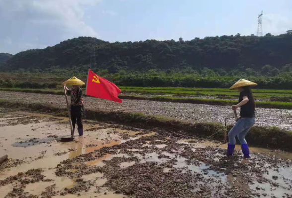 巾帼不让须眉  留守妇女组团治抛荒