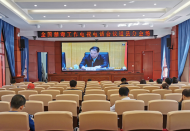 道县组织收看全国禁毒工作电视电话会议