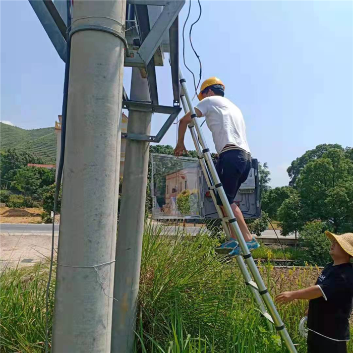 道县仙子脚镇：服务烟农解民困2.png