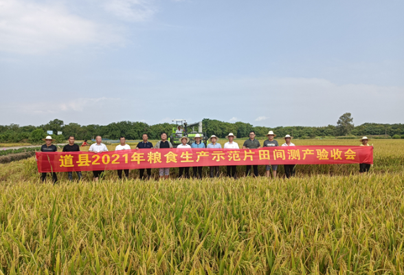 湖南省农业农村厅对道县早稻生产示范片进行田间测产验收