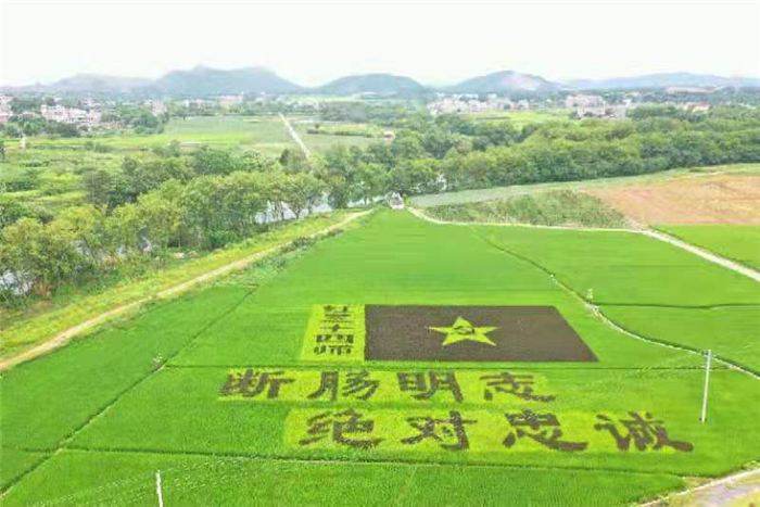 0702道县：弘扬红色精神 彩色稻田画献礼建党百年01.png