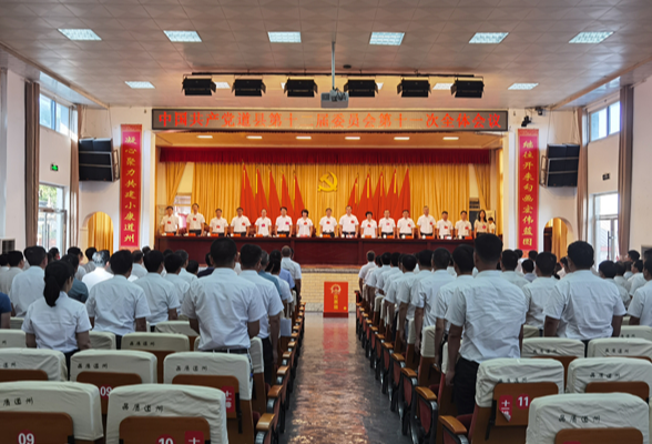 中共道县第十二届委员会第十一次全体会议召开