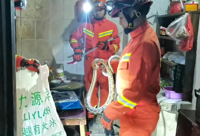 为民办实事｜道县消防救援大队抓蛇解民忧