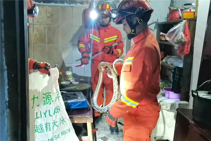 0726我为群众办实事 道县：近期多地蛇出没 消防员抓蛇解民忧02.jpg