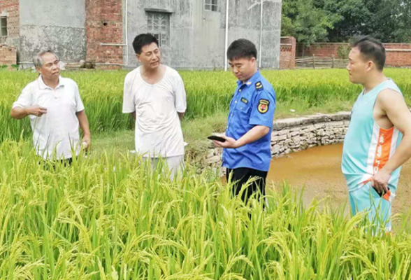道县梅花镇抗旱助农稳步推进