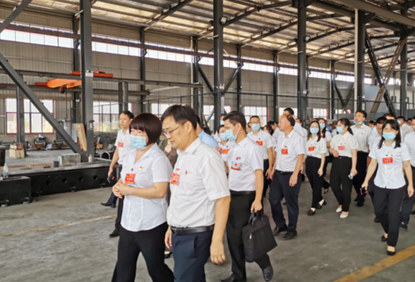 中国共产党道县第十三次代表大会代表视察全县经济社会发展和重大项目推进情况