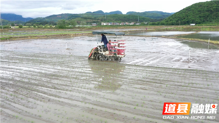 0420道县：多措并举坚决打好早稻生产第一仗01.jpg