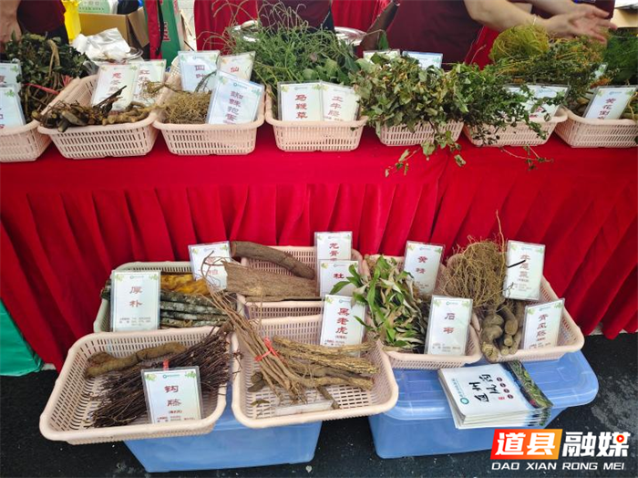 0613【医疗服务提升年】活力中医药 健康惠万家,道县2026年“百市千县”中医药文化惠民活动启幕05_副本.png 0613【医疗服务提升年】活力中医药 健康惠万家,道县2026年“百市千县”中医药文化惠民活动启幕05_副本.png