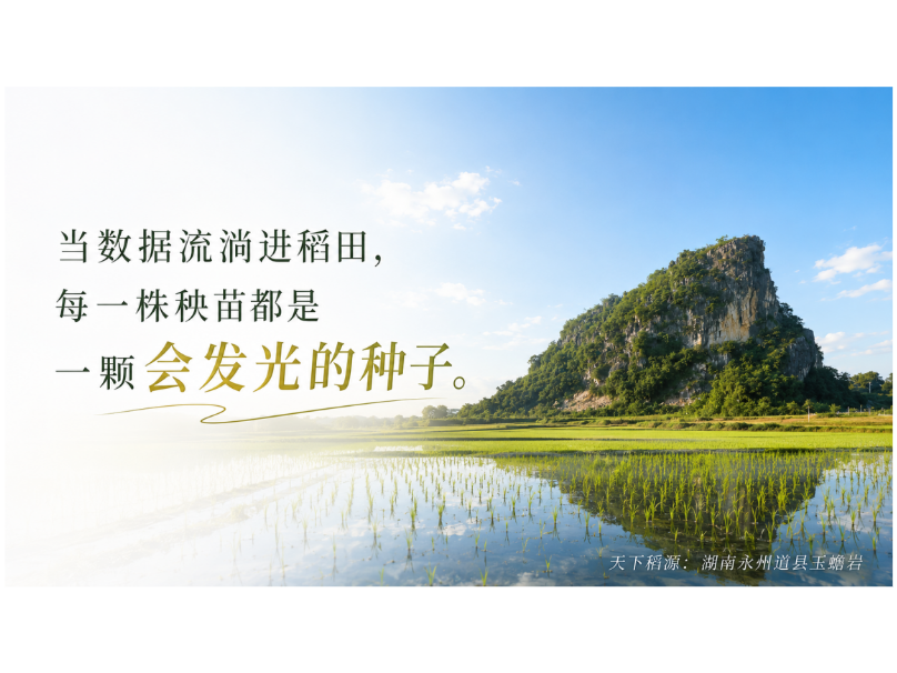 喜报！道县一项目荣获2026年国家“数据要素×”大赛湖南分赛二等奖