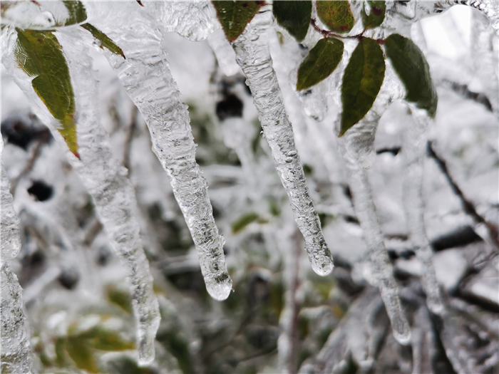 0224道县：冰雪美景惹人醉04.jpg