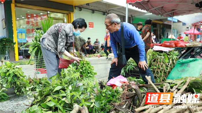 0601道县:端午近 “风药”香02.png 0601道县:端午近 “风药”香02.png