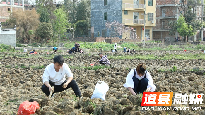 道县:踏春新玩法马蹄田里采挖乐翻天03_副本.jpg 道县:踏春新玩法马蹄田里采挖乐翻天03_副本.jpg