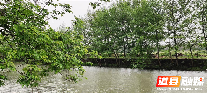 组图｜道县：濂溪河水清岸绿风景如画02.png
