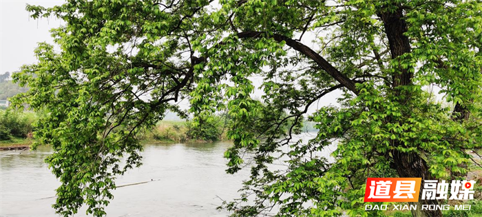 组图｜道县：濂溪河水清岸绿风景如画01.png