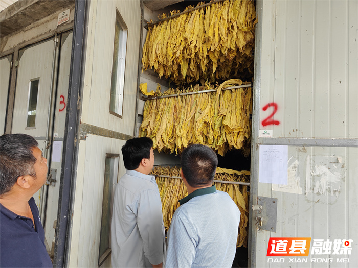 道县2023年第一烤“黄金叶”正式出炉_副本.jpg