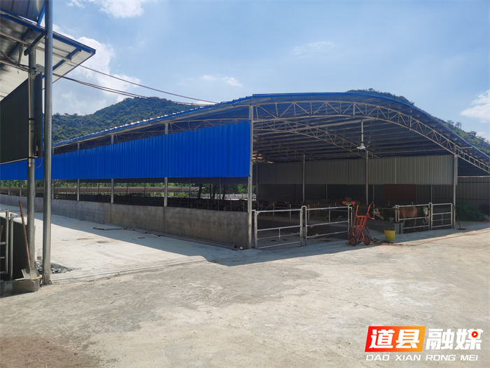 发展“牛”产业  振兴致富路01_副本.png