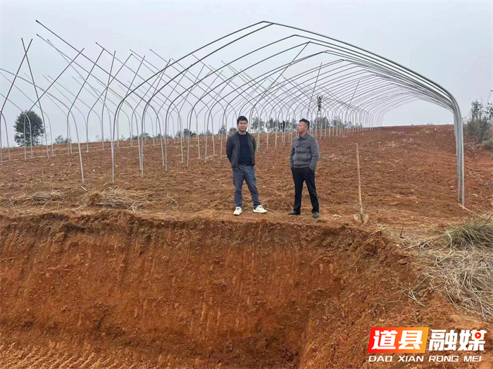道县蚣坝镇：加快育秧大棚建设 抢抓早稻粮食生产1_副本.png