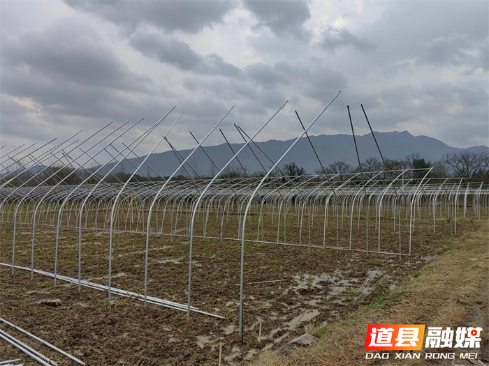道县蚣坝镇：加快育秧大棚建设 抢抓早稻粮食生产2_副本.png