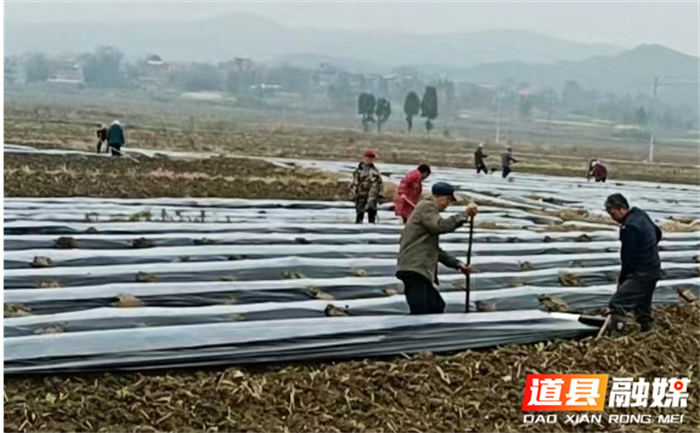 道县梅花镇:家门口就业就是好1_副本.png 道县梅花镇:家门口就业就是好1_副本.png