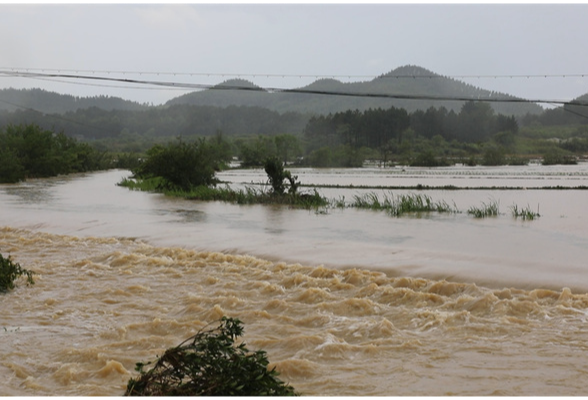持续强降雨致道县400多亩农田被淹       