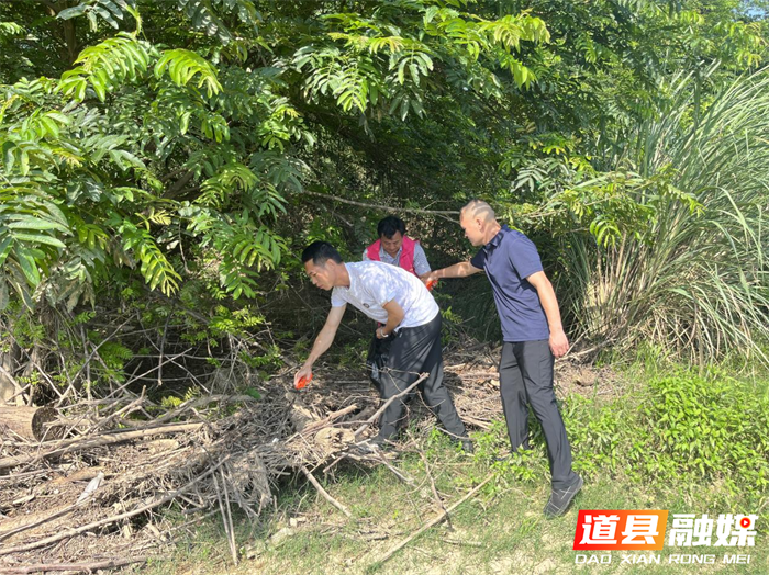 道县万家庄街道：守护一江碧水，共建美丽家园3_副本.png