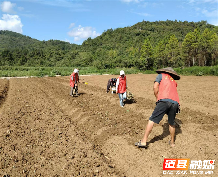 道县：牧草种植赋能乡村养殖产业新征程_副本.png