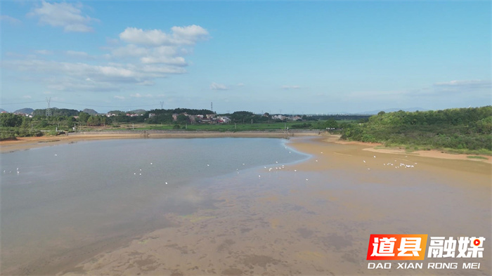 道县：青山绿水白鹭飞 候鸟如约而至1_副本.jpg