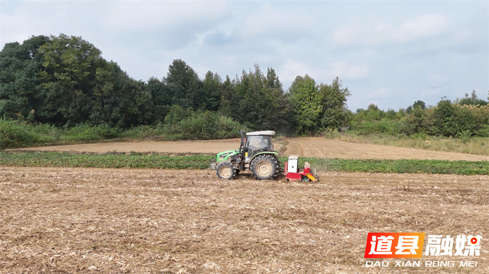 道县:大力推广油菜精量直播 农技服务力促单产提升面积稳增3_副本.jpg 道县:大力推广油菜精量直播 农技服务力促单产提升面积稳增3_副本.jpg