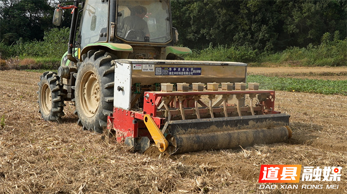 道县:大力推广油菜精量直播 农技服务力促单产提升面积稳增2_副本.jpg 道县:大力推广油菜精量直播 农技服务力促单产提升面积稳增2_副本.jpg