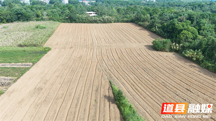 道县:大力推广油菜精量直播 农技服务力促单产提升面积稳增4_副本.jpg 道县:大力推广油菜精量直播 农技服务力促单产提升面积稳增4_副本.jpg